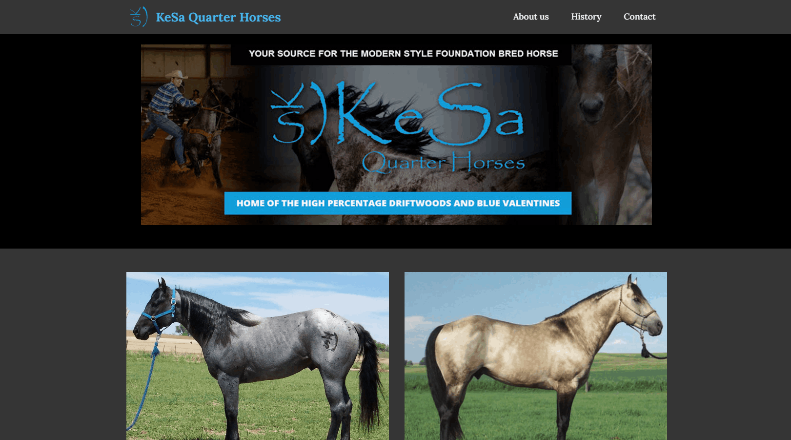 KESA Quarterhorses